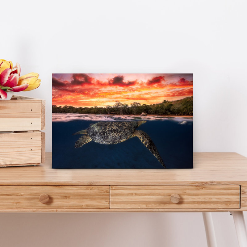 Sea Turtle Sunset Swim Colorful Serene Tranquil Turtle Beach Nature Wall Art Print 1 Piece Wrapped Canvas Wall Art