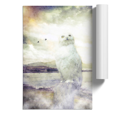 Snowy White Owl Painting - Frameless Print