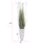 84,5 po plante