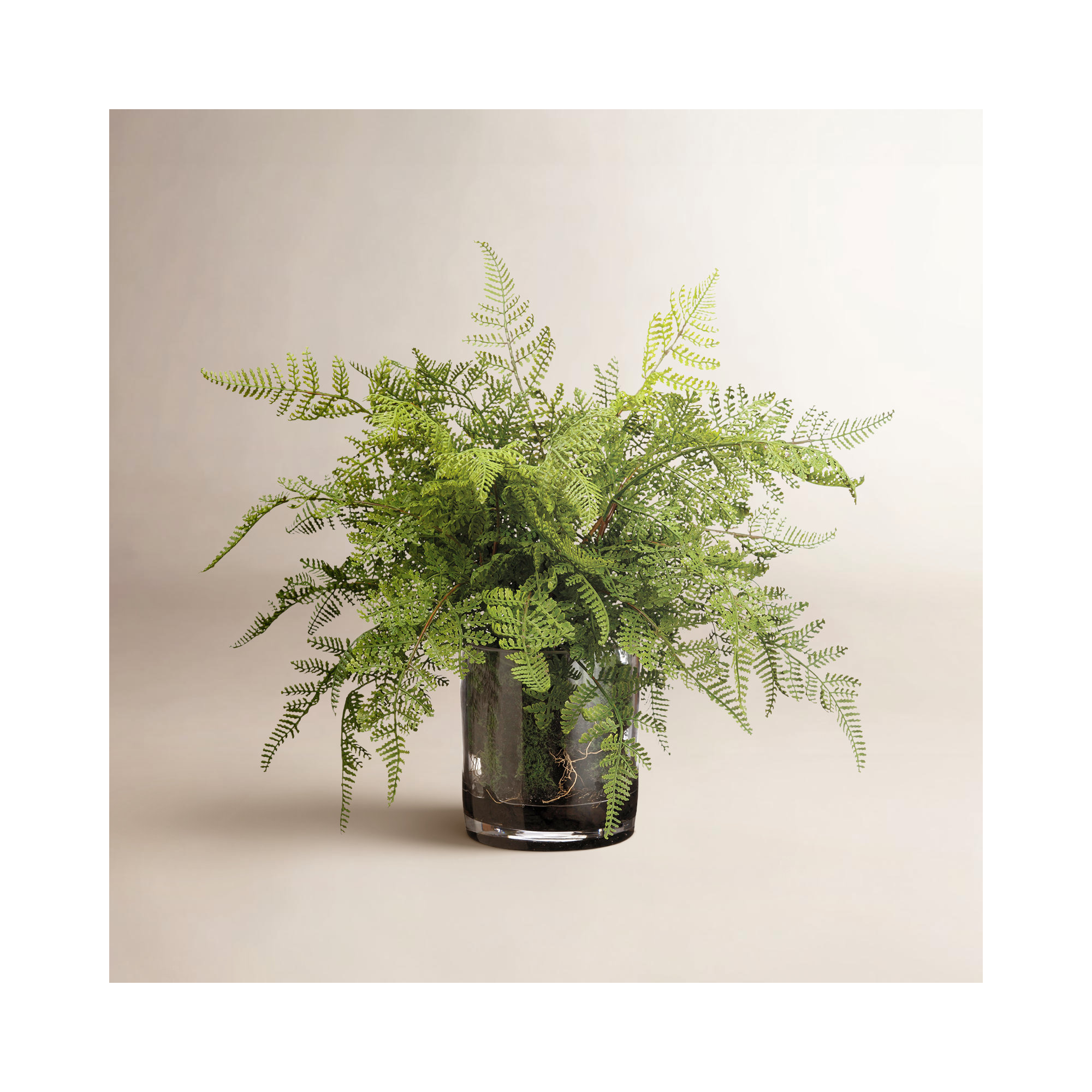 17'' Faux Fern Plant in Glass Vase