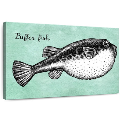 Croquis de poisson Brampt Puffer