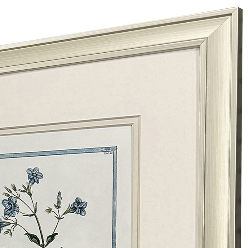 Shabby Elegance Botanical Framed Art