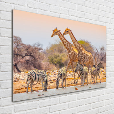 Giraffes And Zebras - No Frame Print on Glass