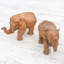 Elephant Buddies Wood Sculptures (Pair)