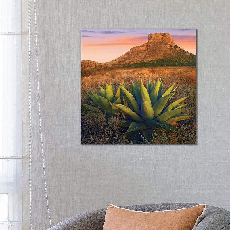 Casa Grande Butte with Agave in Foreground, Big Bend National Park, Texas 1 Piece Wrapped Canvas Wall Art