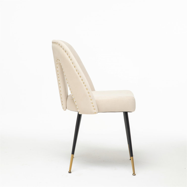 NIUTN Set of 2 Modern Upholstered Metal Dining Chair,Beige