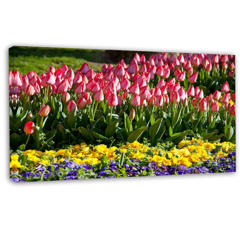 «Tulip Garden with Yellow Flowers», reproduction de photo sur toile tendue, H 16 po x l 32 po