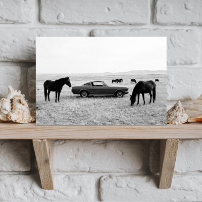 Wild Plains Bw Classic, minimaliste, cheval moderne, art mural