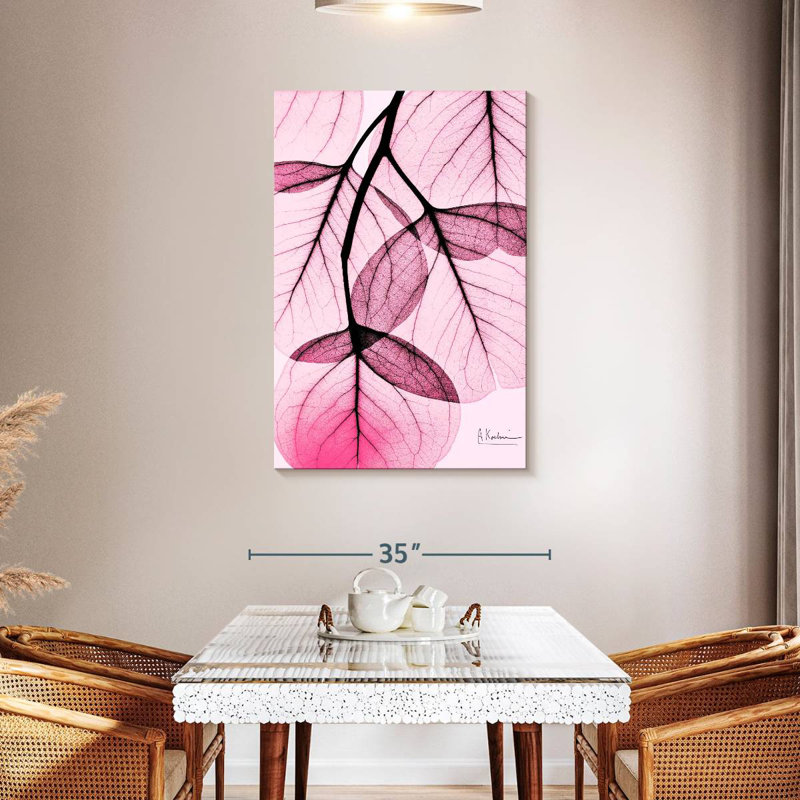 Eucalyptus rose Harnek II, H 45 po x l 30 po