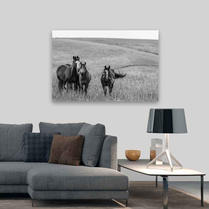 Contemporary Montana Moves Crop, H 48 po x l 32 po