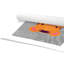 Impression sur papier Tigert Lane Tiger Lane-47482589-47833549