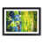 Black Framed selected