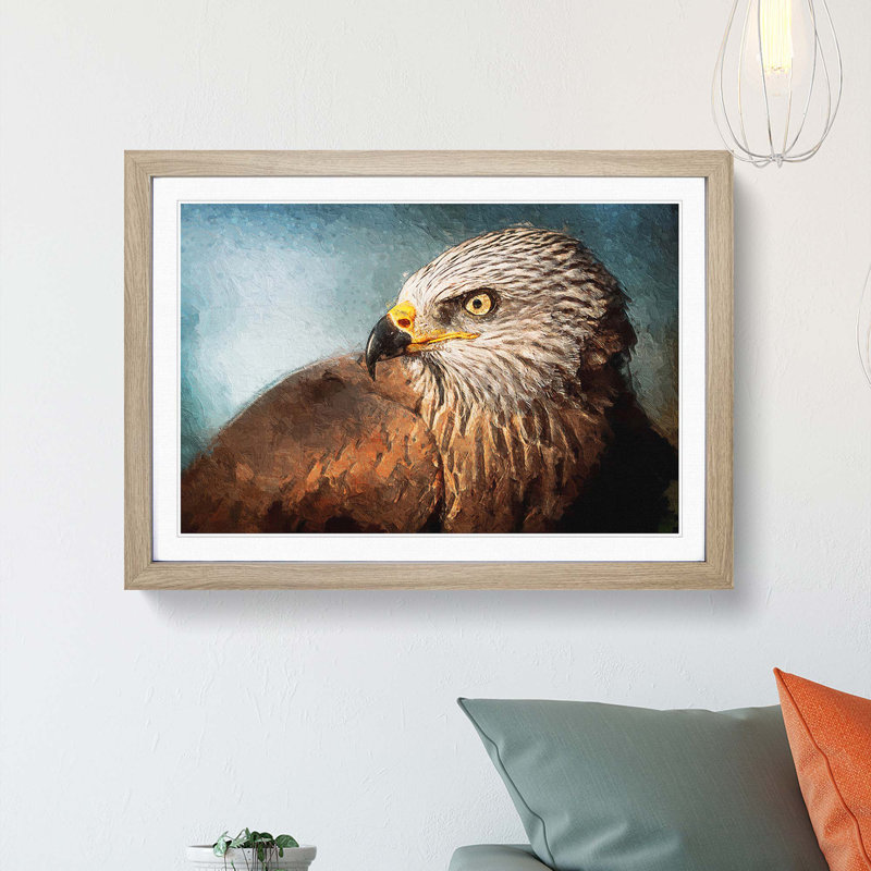Portrait of  Kite Bird - Picture Frame Painting Print, Oak Framed, 36cm H x 48cm W x 2cm D