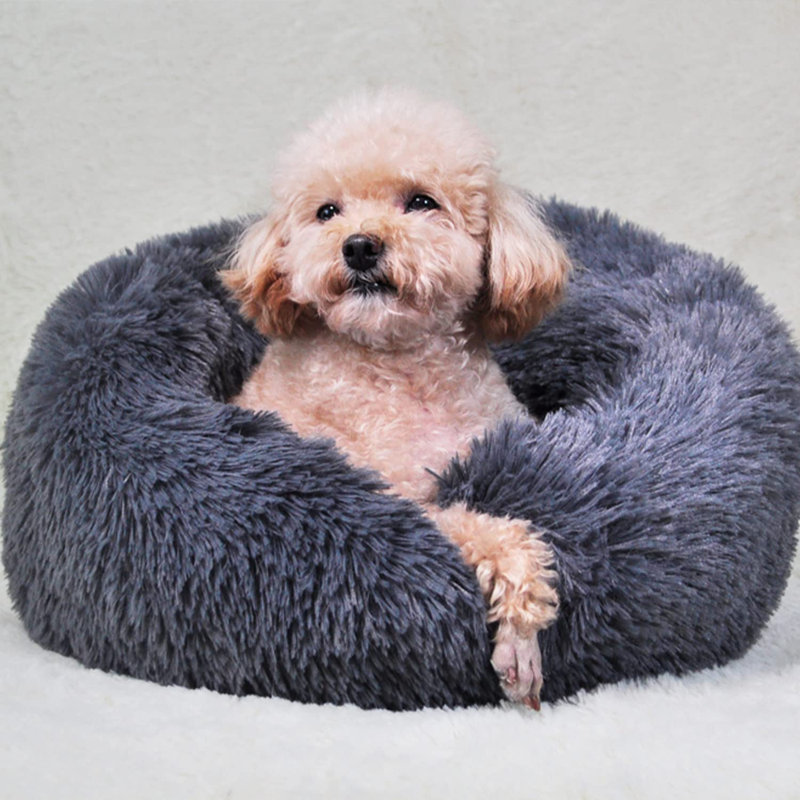 Small Dogs Cats Bed