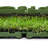 Ottomanson Outdoor Artificial Grass
