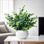 Faux plantes d'intérieur petites plantes d'eucalyptus artificielles blanches Pots de fleurs convenant à la chambre à coucher