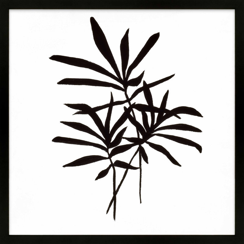 Modern Botanical 4 Print by Lee Lessem, Black Framed Paper, 16" H x 16" W x 1.25" D