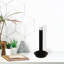Esopus Novelty Lamp