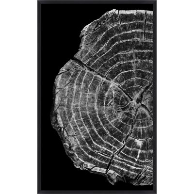 Silver Tree Ring Diptych A Print