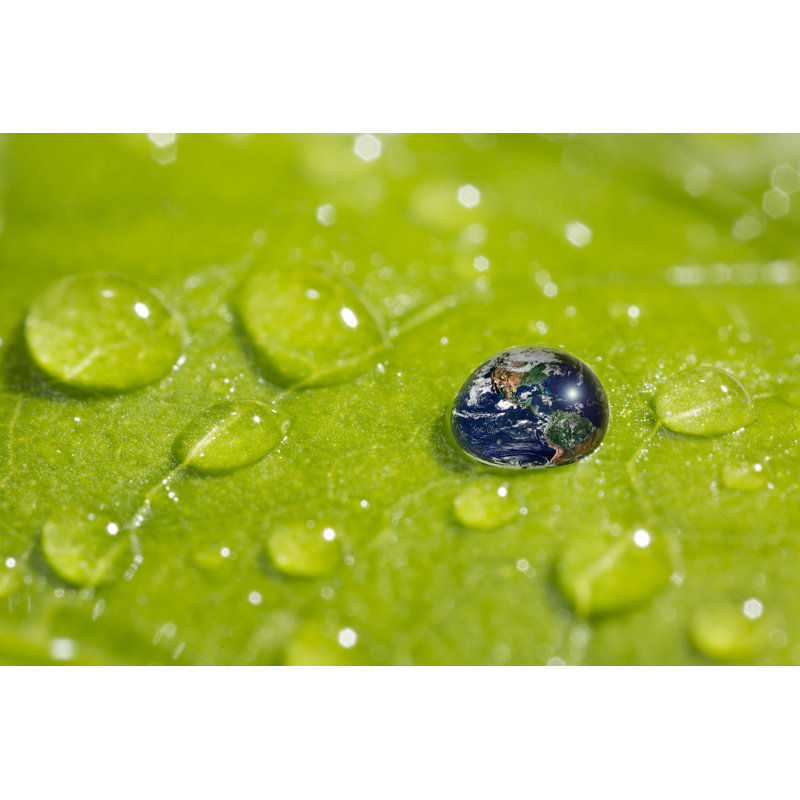 Récupération - Concept de la Terre par Bernie_P Photo, H 8 po x l 12 po