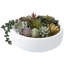 Fausse plante grasse en pot 4,3 po