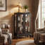 Vitrine lumineuse avec portes en verre trempé, panneau arrière en miroir et tablettes réglables, ampoule incluse, pour la maison ou le bureau, en noir
