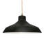 Luminaire suspendu en forme de dôme à 1 lumière Fallon-88325714-88325719-102055072