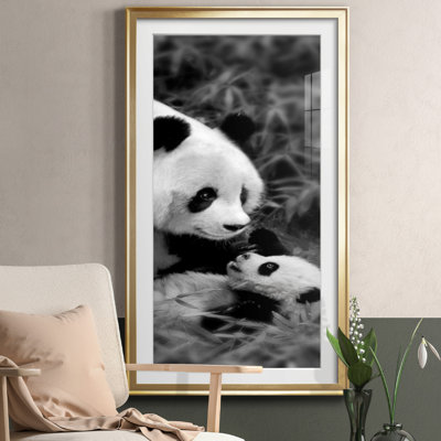 Panda Play - Photographie avec cadre photo