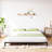 6 Inch Queen Bed Frame No Box Spring Needed, Heavy Duty Metal Platform Bed Frame Queen Size for Bedroom Easy Assembly, Noise Free, Black, Queen