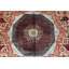 Aryana Wool Oriental Area Rug