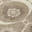  Malchow Area Rug-1455279642