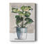 Plante d'intérieur en pot II - galerie sur mesure-36494253