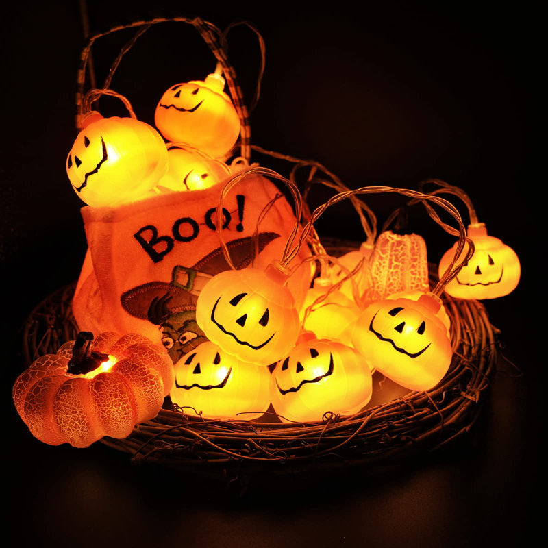 Kassaundra 20 - Bulb 117.6'' Battery Powered Fairy String Light