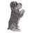 Schnauzer Puppy Praying
