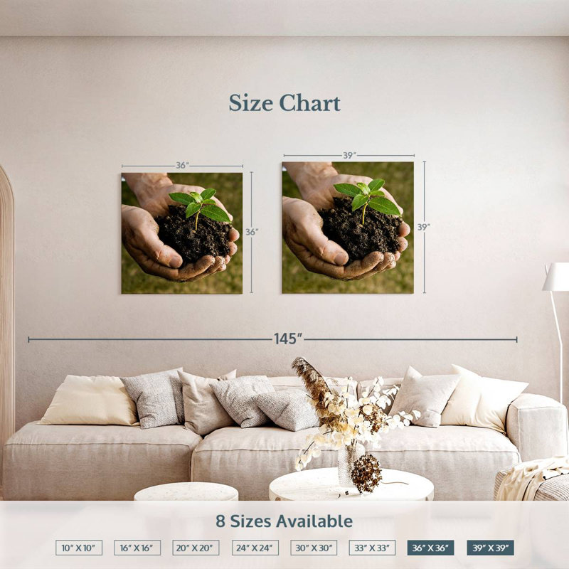 Senne New Seedling Sprouting, 36'' H x 36'' W