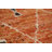 Trellis Wool Moroccan Oriental Area Rug 7x10