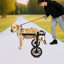 Pet Wheels Dog Wheelchair