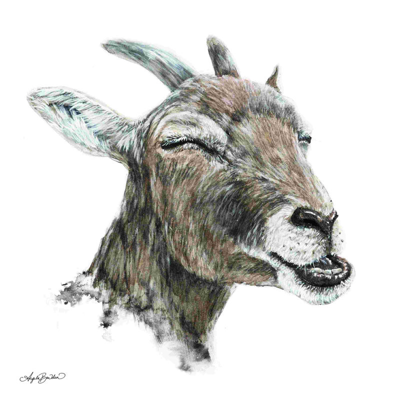 2882670_Bill The Goat, H 12 po x l 12 po