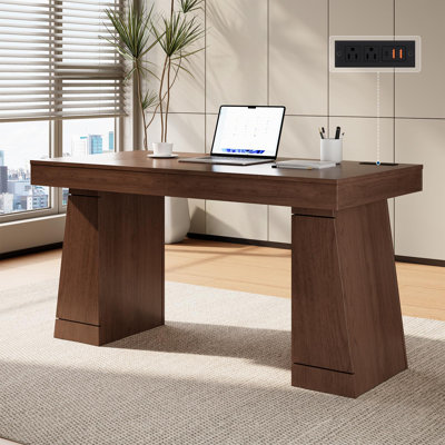 55" Executive Desk with Power Outlets Storage Cabinet, Office Desk for Home