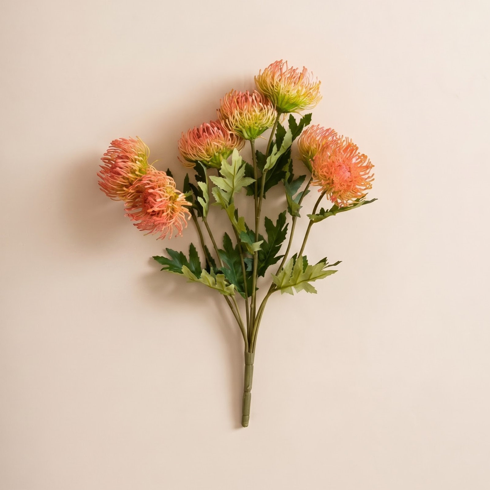 Protea Floral Stems