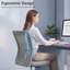 Ajman Office Chair-972820146
