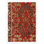 Oriental Area Rug in Rust