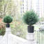 Arbre de cèdre artificiel en forme de topiaire en forme d'arbre de pin artificiel en forme de pin de 17 po résistant aux rayons UV pour les bureaux extérieurs et d'intérieur
