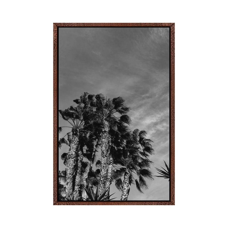 Monochrome California Sky by Bethany Young - Print on Canvas, 66.04cm H x 45.72cm W x 3.81cm D, Classic Brown Wood Framed
