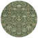 Machine Washable Indoor/Outdoor Chayden ACN1087 Green Rug