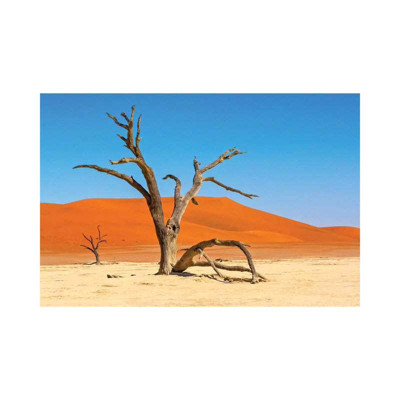 Dead acacia trees in Deadvlei, Sossusvlei, Namib-Naukluft National Park, southern Narim Desert 1 Piece Wrapped Canvas Painting