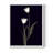 Tulip Pose II Framed Print - Solid Wood-2122920409-2122920359