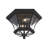 Alexavier Outdoor Flush Mount-720021276-800678403