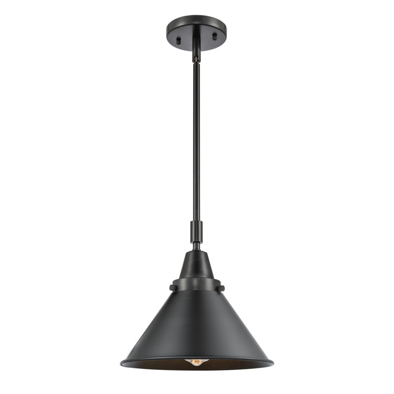 Cambarville 1 - Light Single Pendant, No Bulb Included, Matte Black