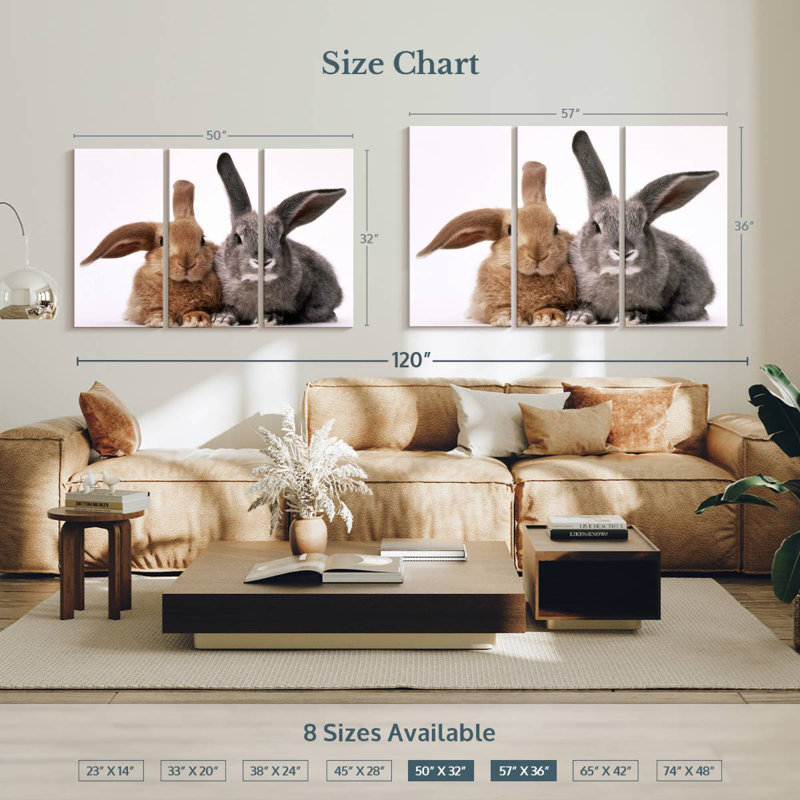 Lapins bruns et gris Brampt, H 36 po x l 57 po